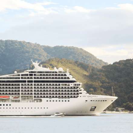 Cruise ship on a sunny day | Special Journeys | Vacations for People with Disabilities