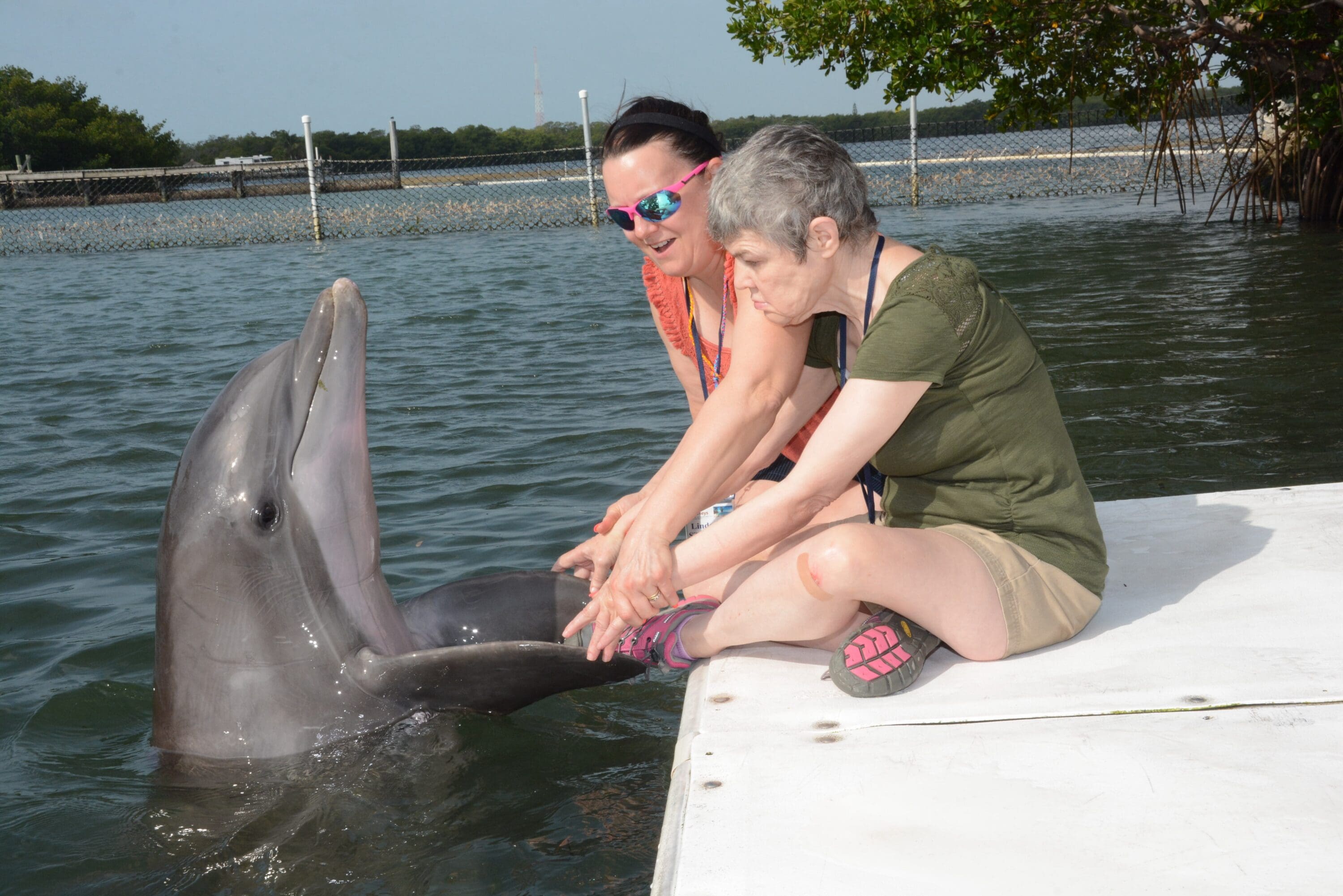 Woman sitting on dock playing with dolphin | Special Journeys | vacations for handicapped persons