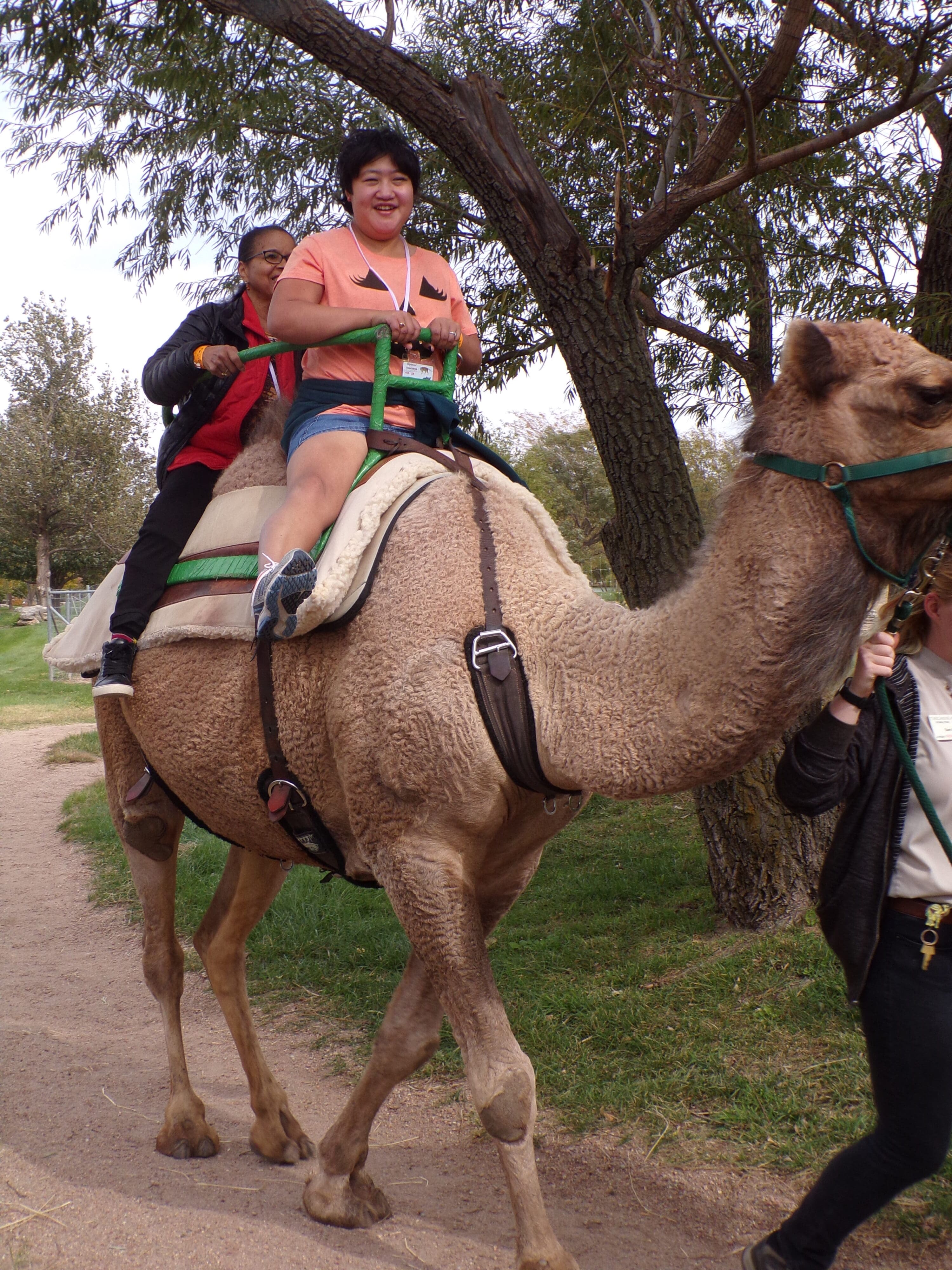 Riding on the back of a camel | Special Journeys | Vacations for People with Disabilities
