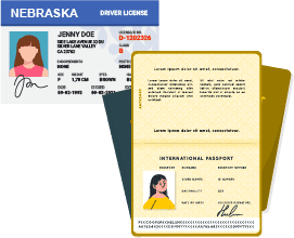 Drivers License & Passport illustration